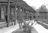 publiccity salonica foto 02