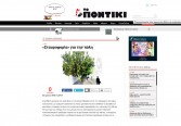 pontiki w